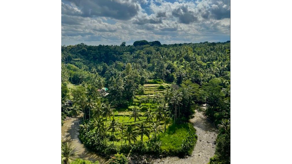 PREDAJ - LUXUSNÉ VILY v srdci balijskej prírody - UBUD - BALI, Indonézia 