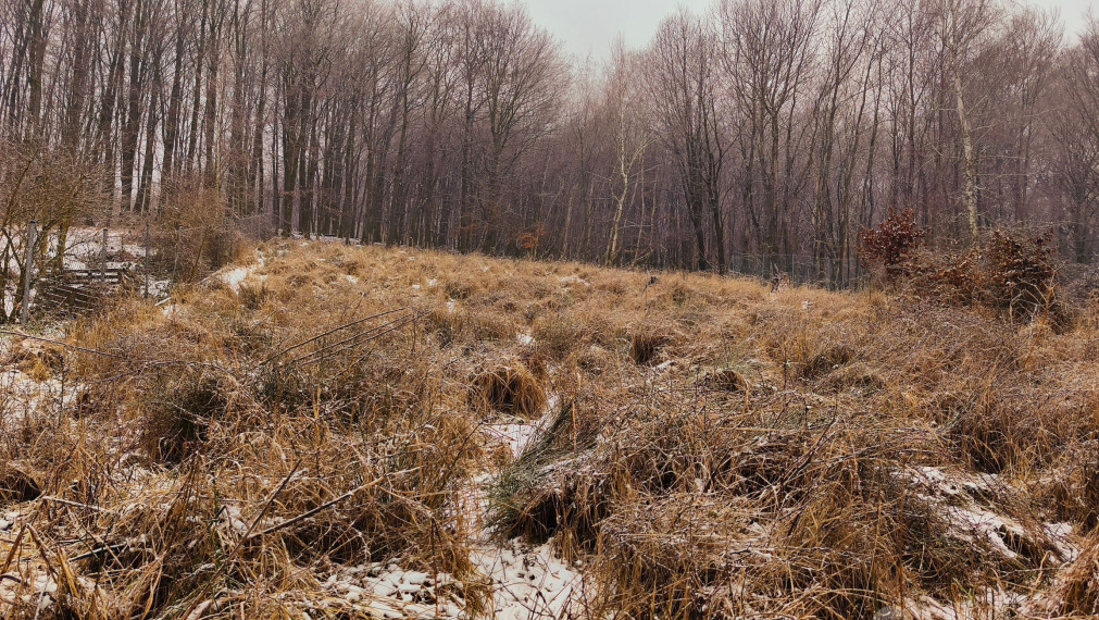 Predaj výnimočného pozemku v Jabloňovom, so stavebným povolením.