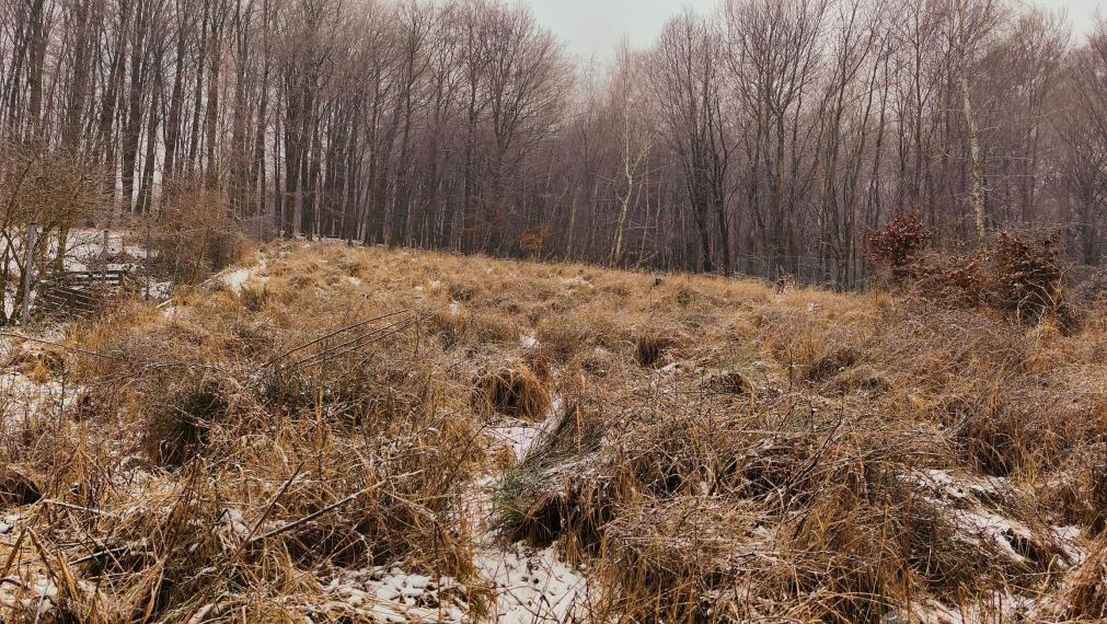 Predaj výnimočného stavebného pozemku v Jabloňove so stavebným povolením