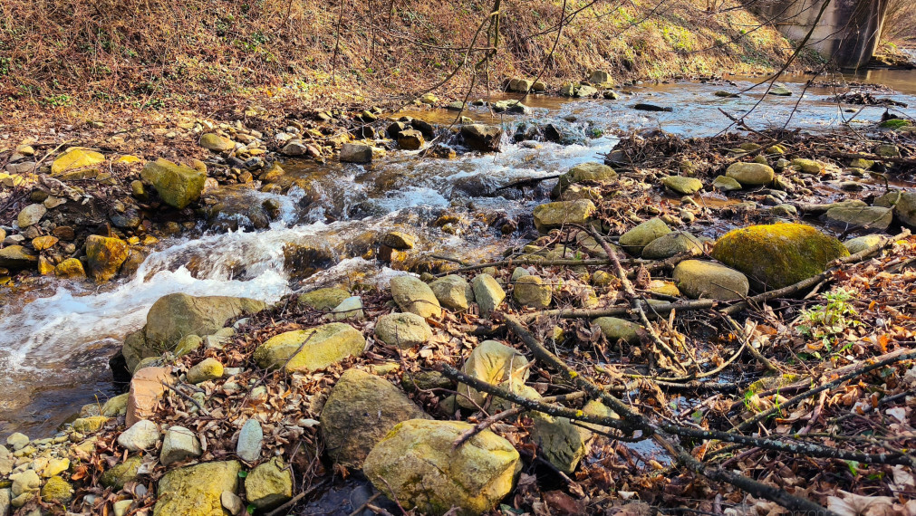 Predstavte si miesto, kde sa ráno začína tichom lesa a vzduch vonia po Karpatoch, Váš nový domov. Pozemok so Stavebným povolením.