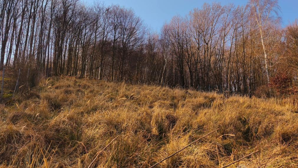 Nádherný pozemok v Jablonovom 1786 m² so stavebným povolením.
