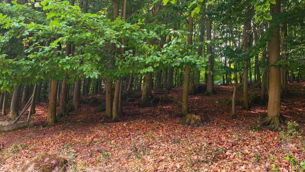 Pozemok so stavebným povolením v Jablonovom - 1 786 m²