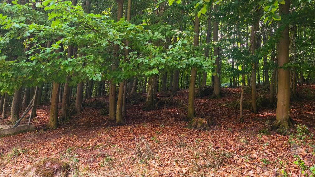 STAVEBNÝ POZEMOK 1 786 m² POD LESOM | JABLONOVÉ | STAVEBNÉ POVOLENIE | IS PRI POZEMKU | VÝNIMOČNÁ LOKALITA.